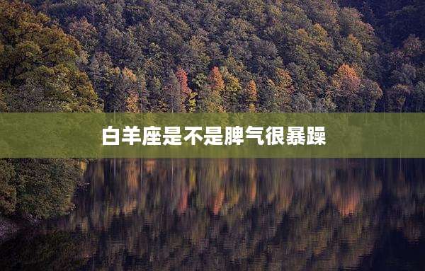 白羊座是不是脾气很暴躁