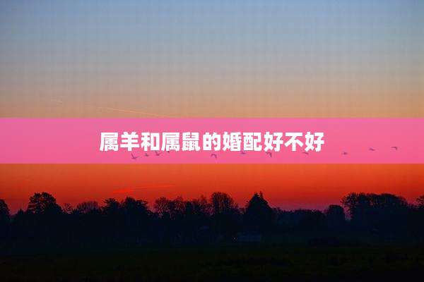 属羊和属鼠的婚配好不好