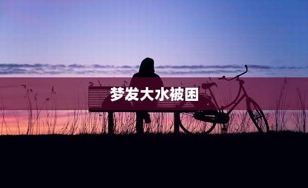 梦发大水被困
