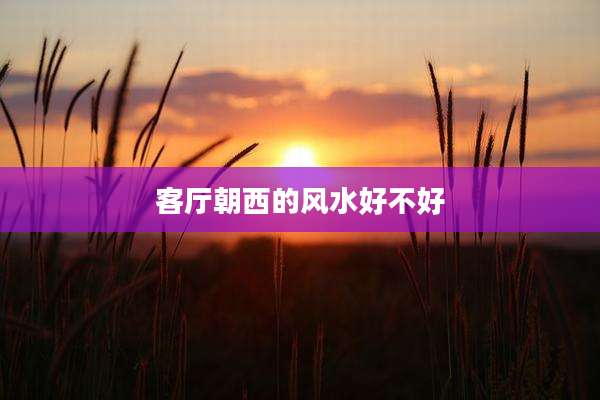 客厅朝西的风水好不好