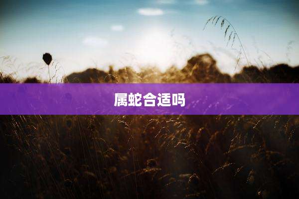 属蛇合适吗