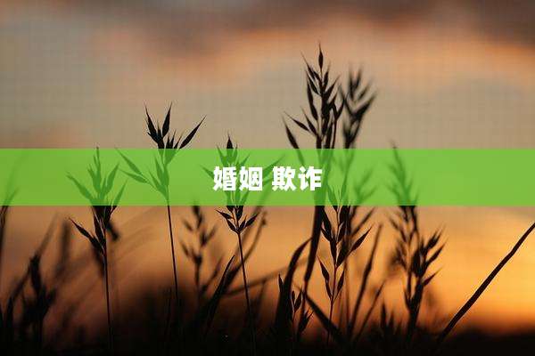 婚姻 欺诈