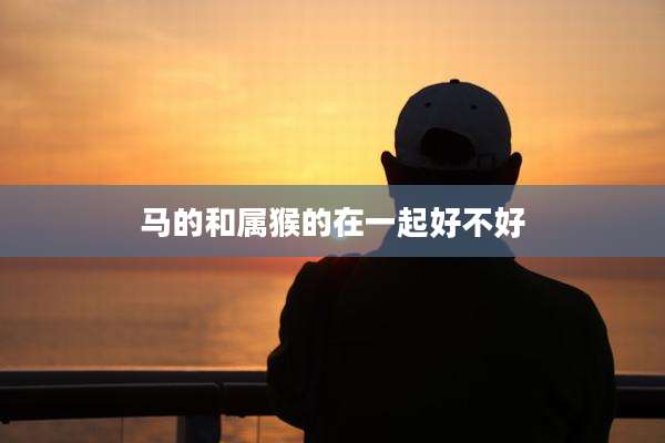 马的和属猴的在一起好不好