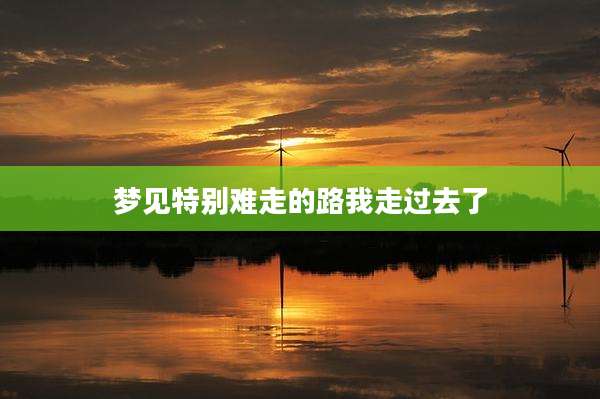 梦见特别难走的路我走过去了