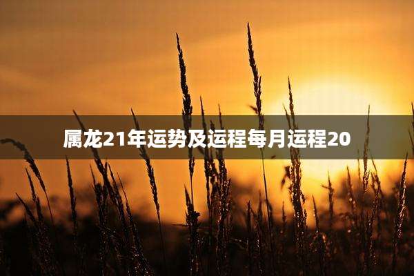 属龙21年运势及运程每月运程20