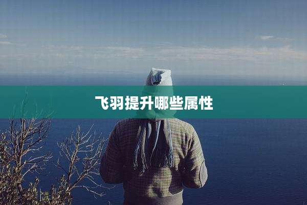 飞羽提升哪些属性
