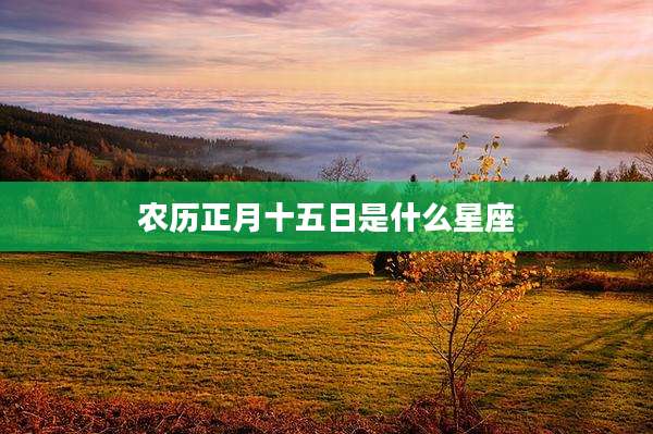农历正月十五日是什么星座