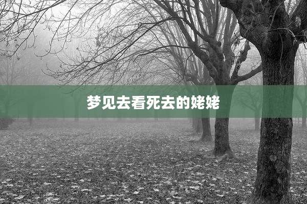 梦见去看死去的姥姥