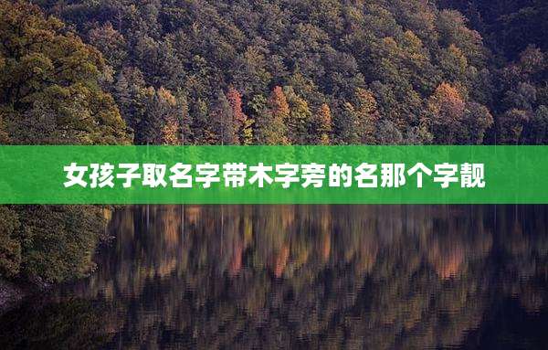 女孩子取名字带木字旁的名那个字靓