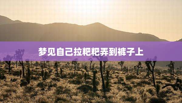 梦见自己拉粑粑弄到裤子上