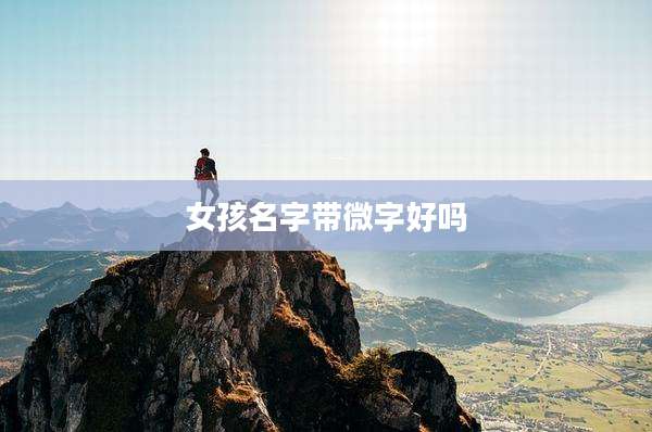 女孩名字带微字好吗