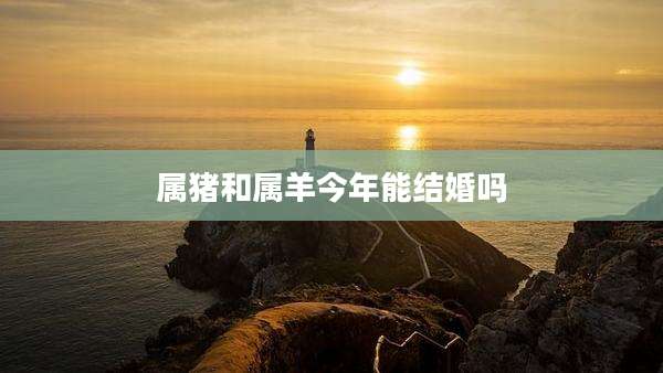 属猪和属羊今年能结婚吗
