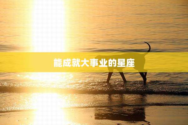 能成就大事业的星座