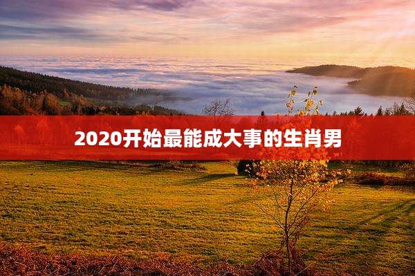 2020开始最能成大事的生肖男