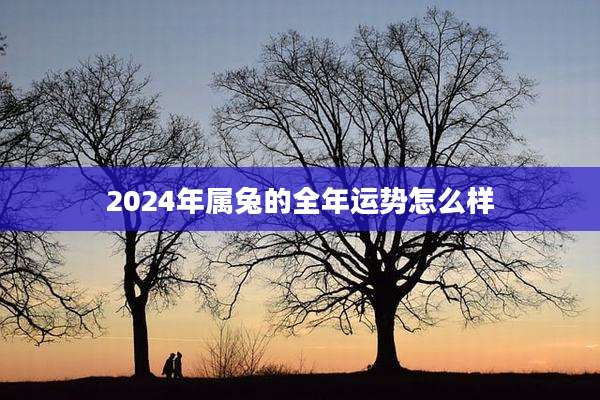 2024年属兔的全年运势怎么样