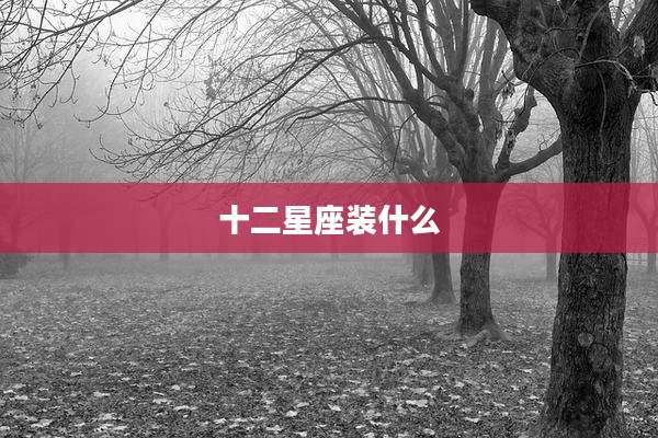 十二星座装什么
