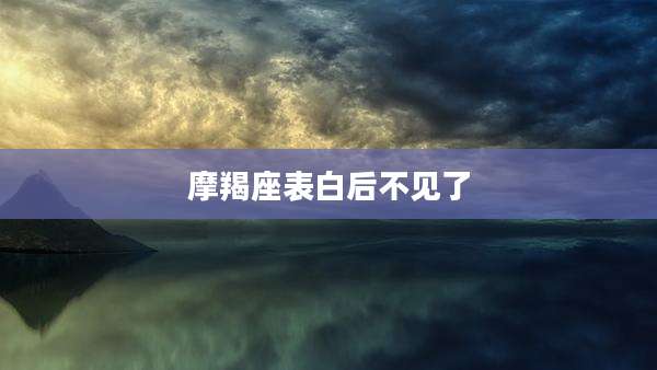 摩羯座表白后不见了