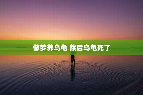 做梦养乌龟 然后乌龟死了