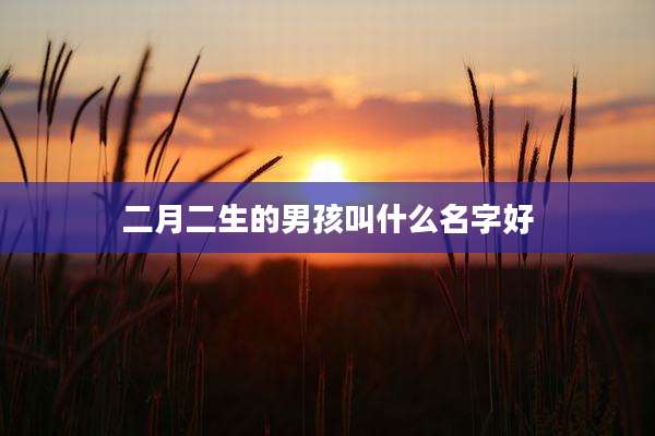 二月二生的男孩叫什么名字好