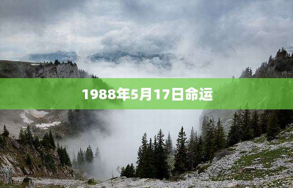 1988年5月17日命运