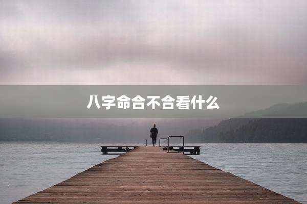 八字命合不合看什么
