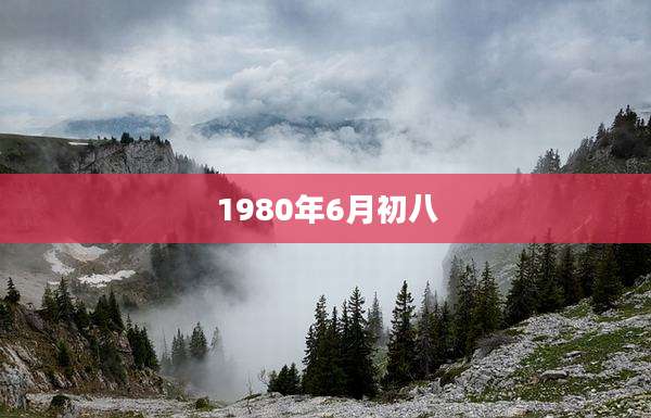 1980年6月初八