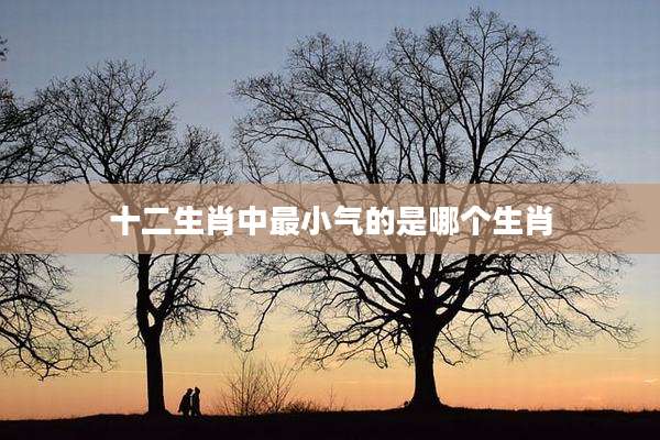 十二生肖中最小气的是哪个生肖