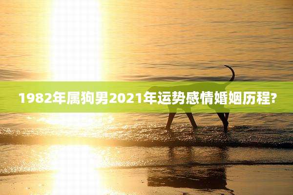 1982年属狗男2021年运势感情婚姻历程?