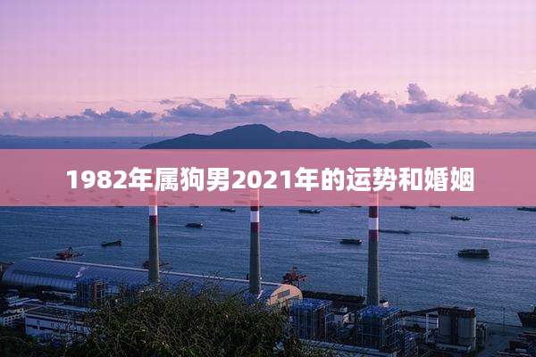 1982年属狗男2021年的运势和婚姻