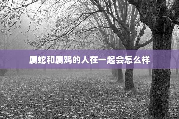 属蛇和属鸡的人在一起会怎么样