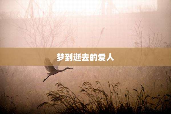 梦到逝去的爱人