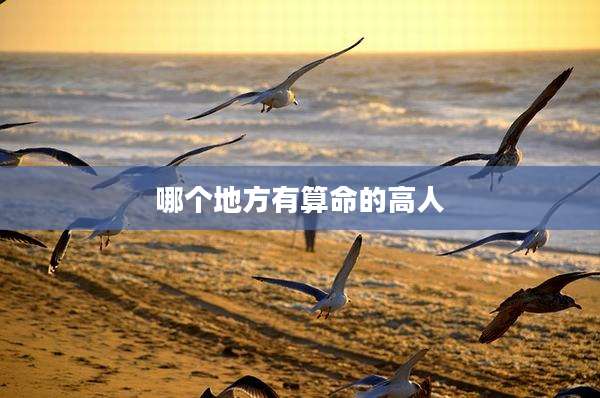 哪个地方有算命的高人