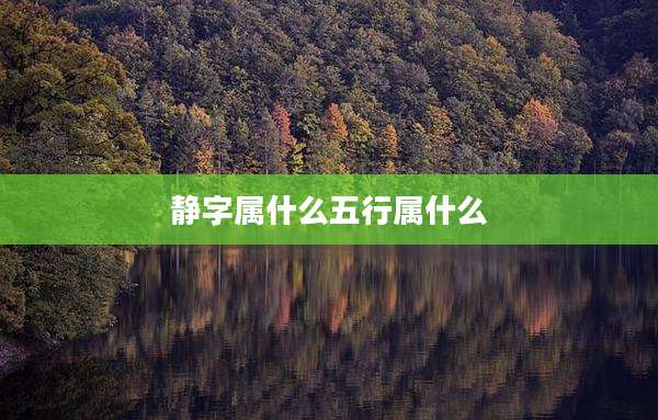 静字属什么五行属什么