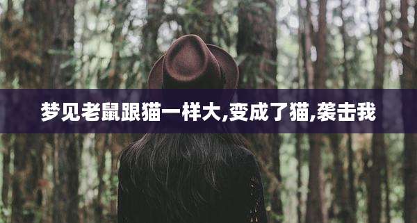梦见老鼠跟猫一样大,变成了猫,袭击我