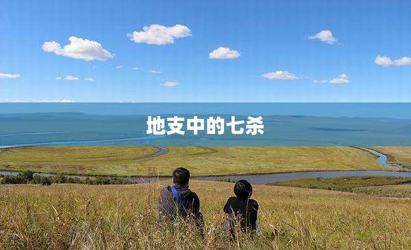 地支中的七杀