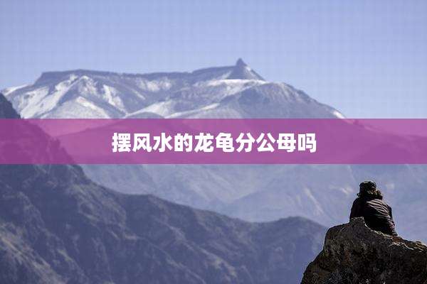 摆风水的龙龟分公母吗