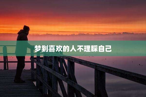 梦到喜欢的人不理睬自己