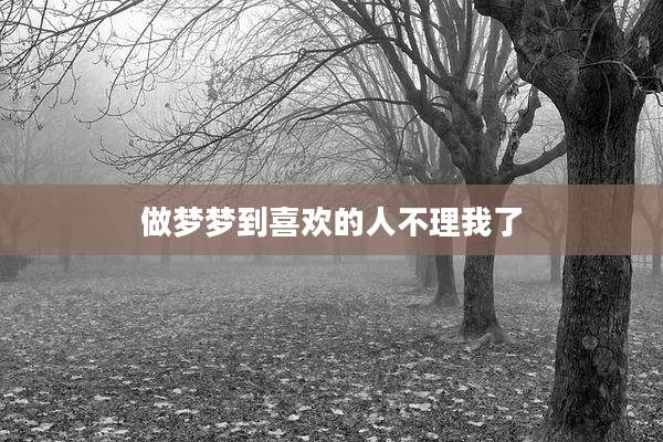 做梦梦到喜欢的人不理我了