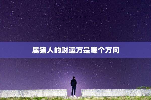 属猪人的财运方是哪个方向