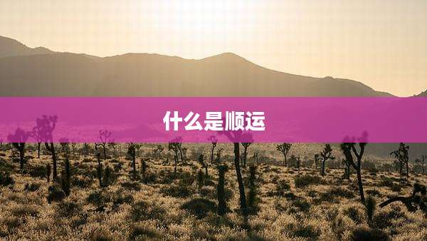 什么是顺运