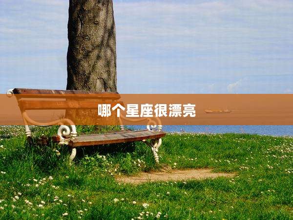哪个星座很漂亮