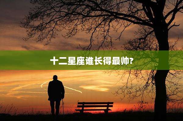 十二星座谁长得最帅?