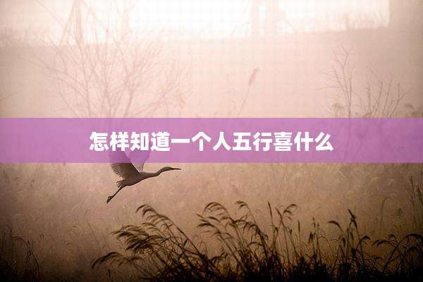 怎样知道一个人五行喜什么