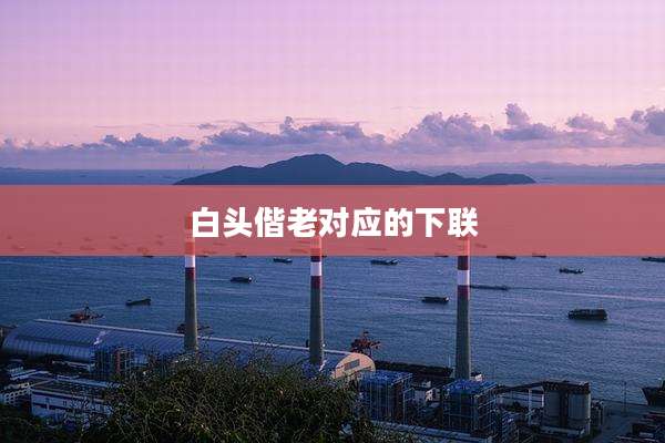 白头偕老对应的下联
