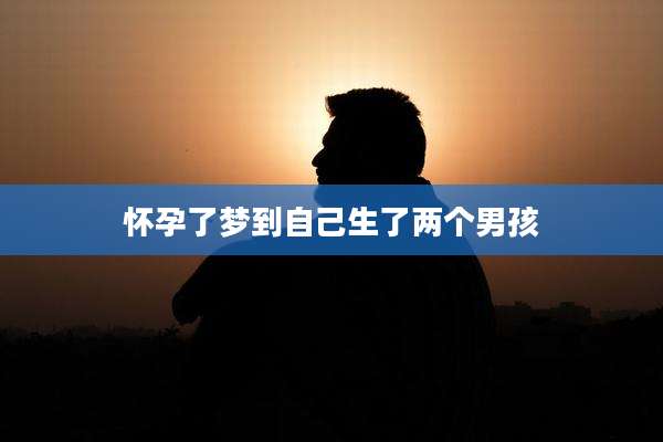 怀孕了梦到自己生了两个男孩