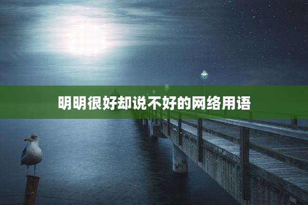 明明很好却说不好的网络用语