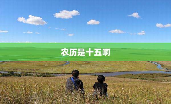农历是十五啊