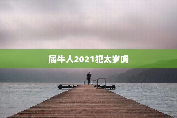 属牛人2021犯太岁吗