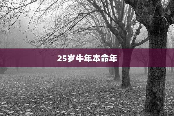 25岁牛年本命年