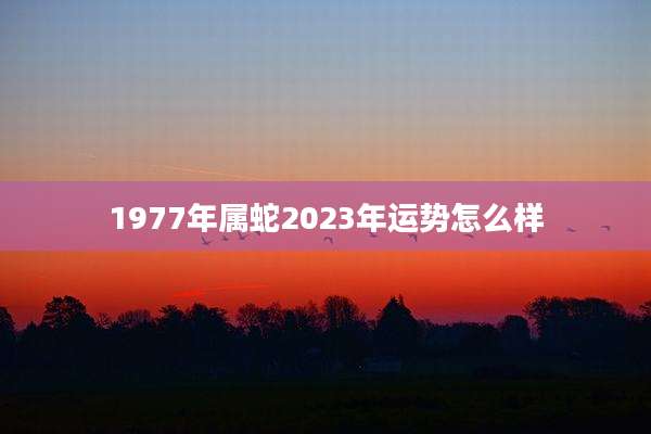 1977年属蛇2023年运势怎么样